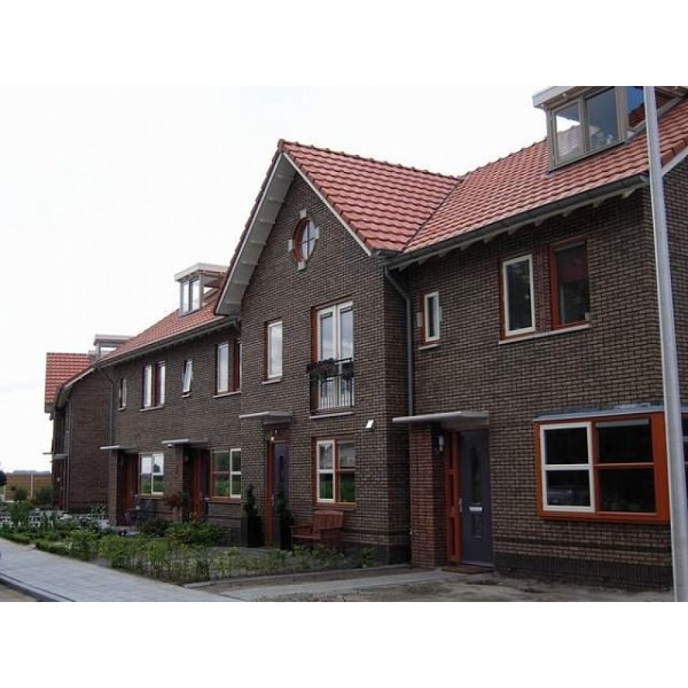 Облицовочный кирпич ручной формовки, 210х100х50 мм, Puttywood, (NZ 052 WF), Daas Baksteen