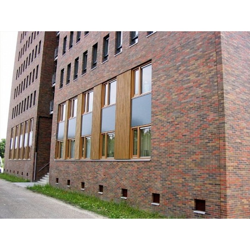 Облицовочный кирпич ручной формовки, 210х100х50 мм,SB 40, (NZ 082 WF), Daas Baksteen