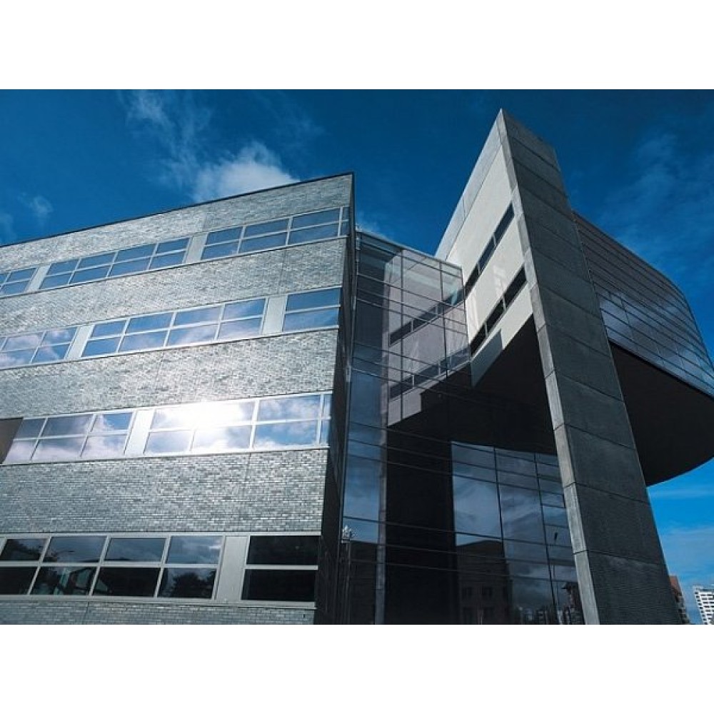 Облицовочный кирпич, 210х100х50 мм, Silverstone, (NZ 097 WF), Daas Baksteen