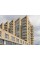 Облицювальна цегла ручного формування, 210х100х50 мм, Maplewood, (NZ 046 WF), Daas Baksteen