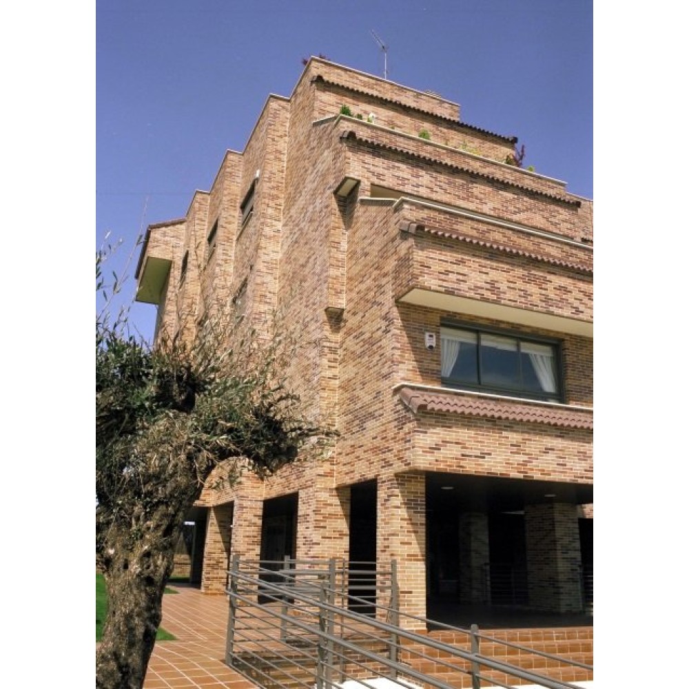 Облицювальна клінкерна цегла, 236х114х65 мм, Aragón, La Paloma ceramicas